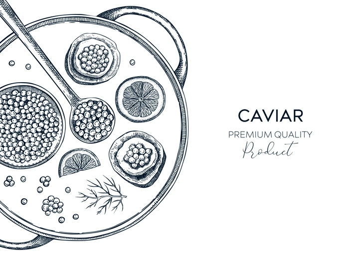 Hand drawn seafood platter in engraved style. Canned caviar, red caviar canape, lemons - hand drawn food sketches for restaurant menu or finger food party. Sea delicacy vector background design